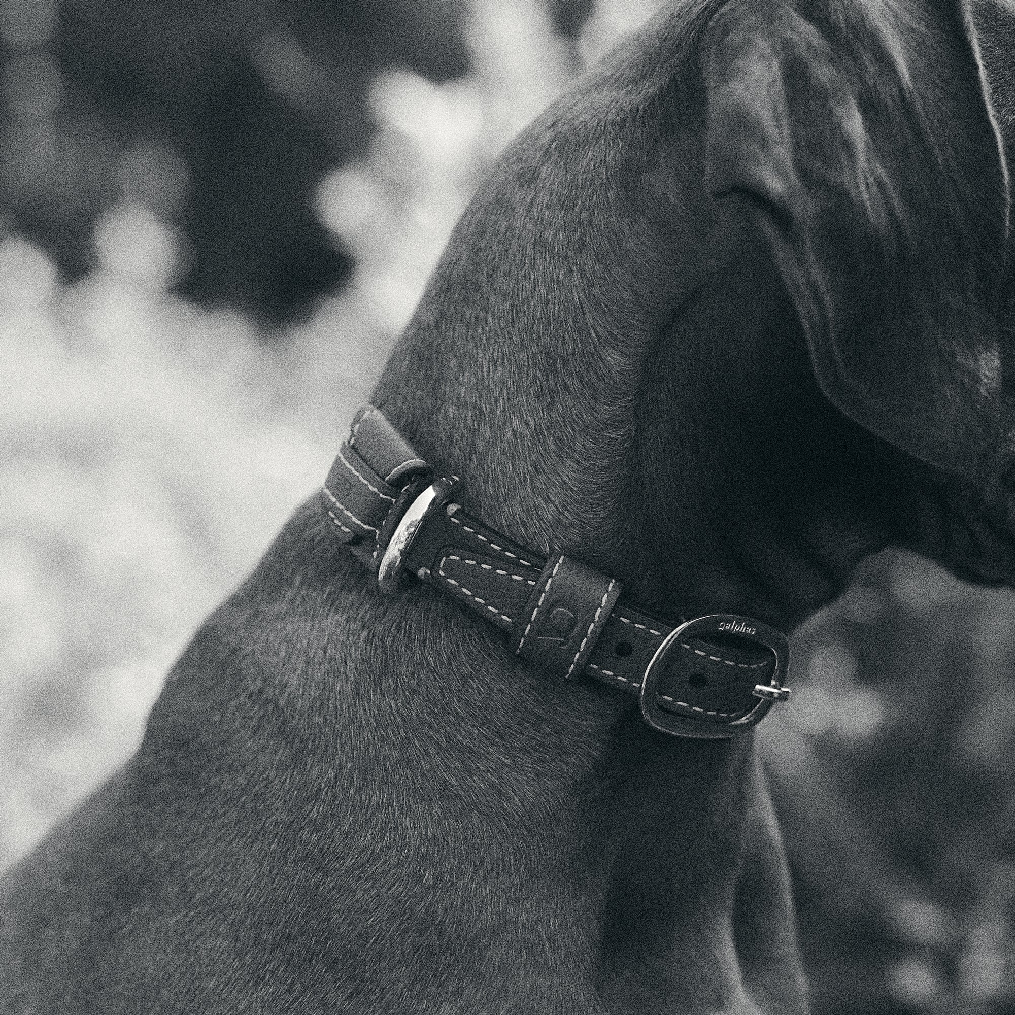 Sprezzatura Collar™