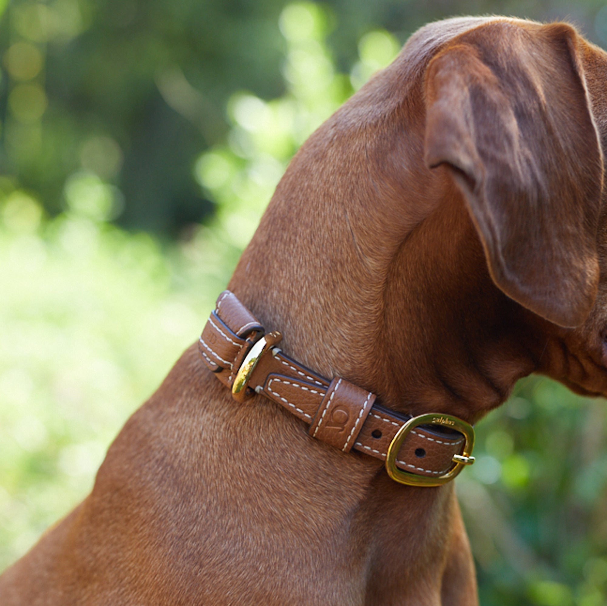 Sprezzatura Collar™